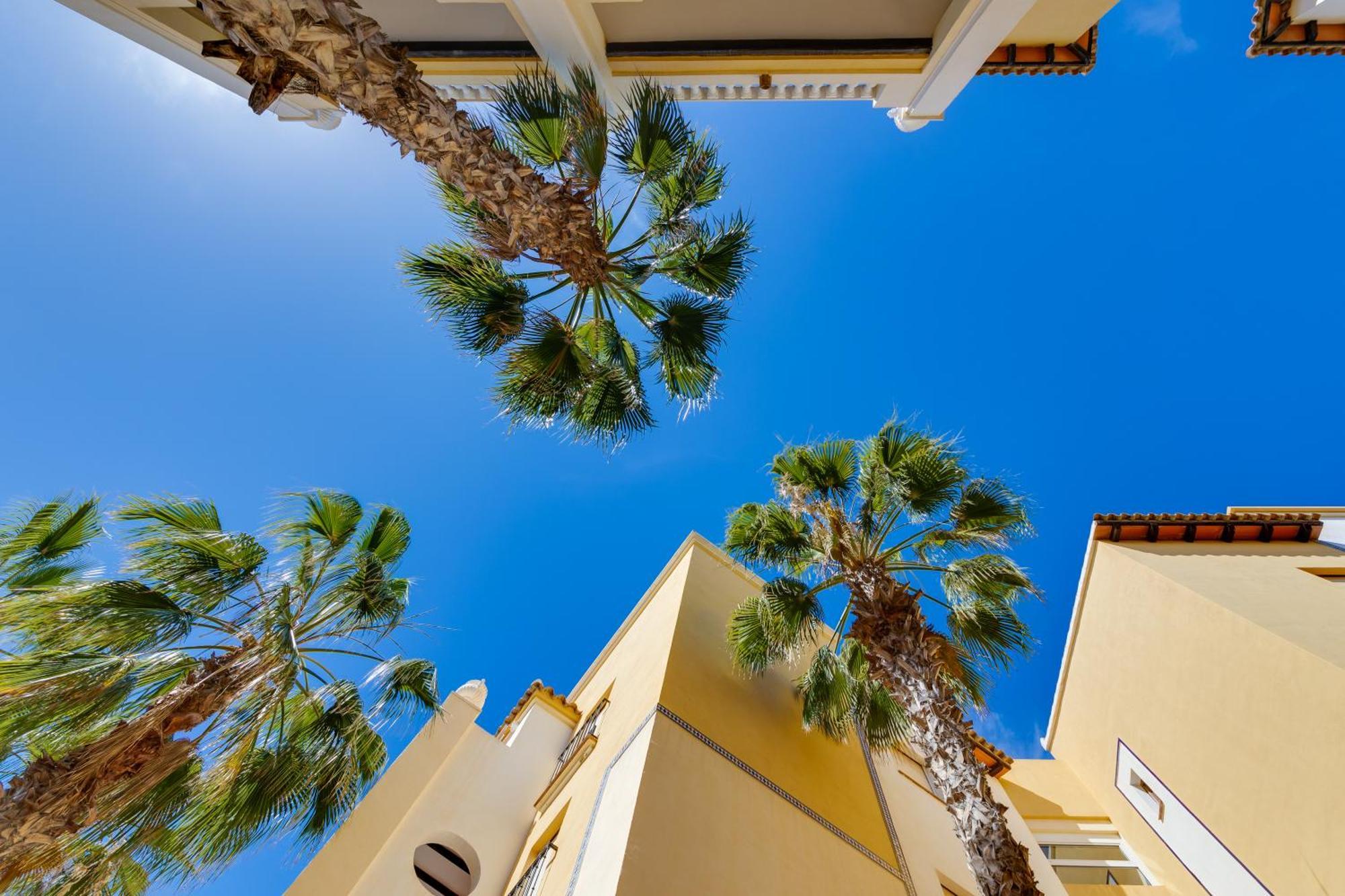 Premium Apartment Beach Aldea Del Mar Torrevieja Buitenkant foto
