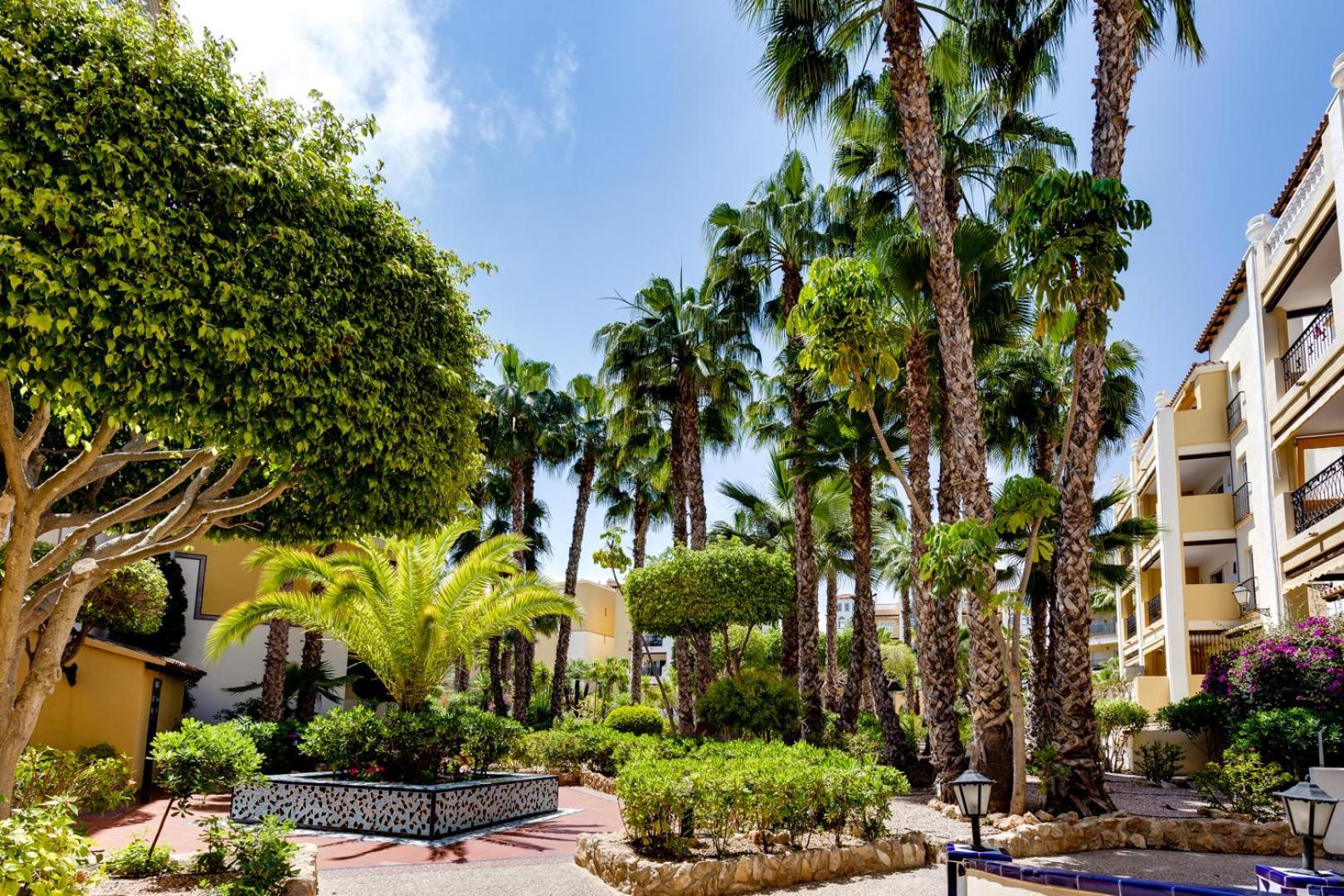 Premium Apartment Beach Aldea Del Mar Torrevieja Buitenkant foto
